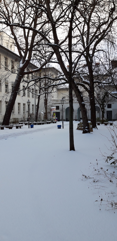 20210210_114502.jpg